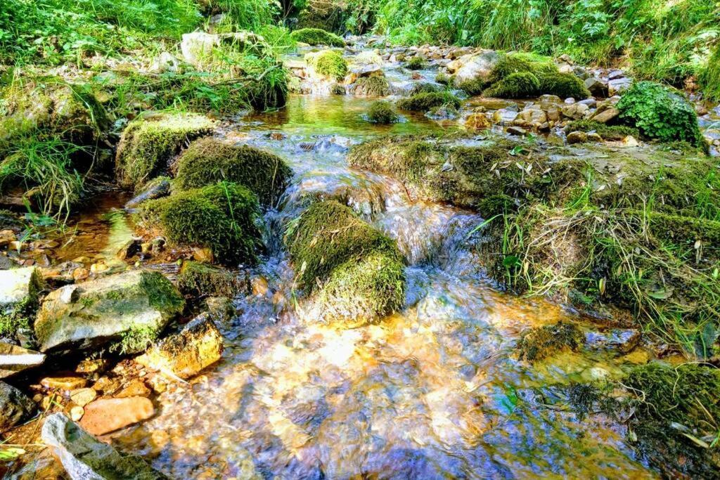 فيلا Casa Con Vistas Y Encanto En Parque Natural Páramo المظهر الخارجي الصورة