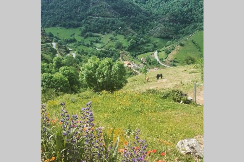 فيلا Casa Con Vistas Y Encanto En Parque Natural Páramo المظهر الخارجي الصورة
