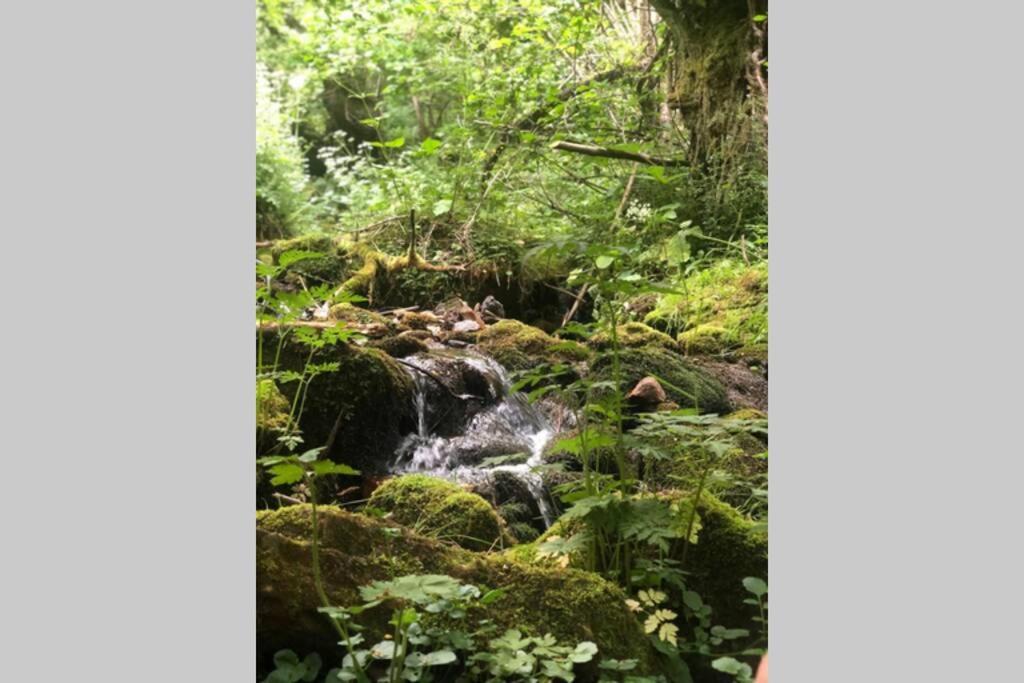 فيلا Casa Con Vistas Y Encanto En Parque Natural Páramo المظهر الخارجي الصورة